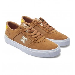 DC Shoes  Teknic S Shoes