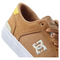 DC Shoes  Teknic S Shoes