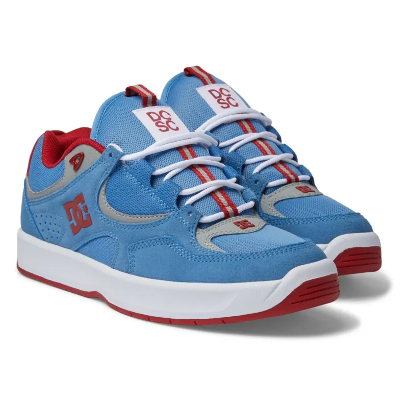 DC Schoenen  Kalynx Zero S Schoenen