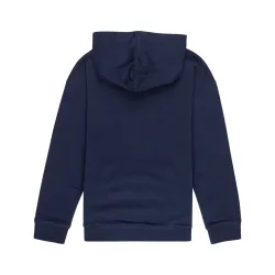 Element Van Hoodie Kids