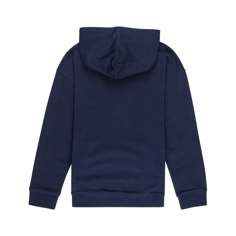 Element Van Hoodie Kids