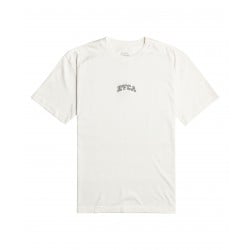 RVCA Chain T-Shirt Salt