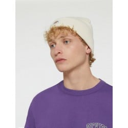 Dickies Gibsland Beanie