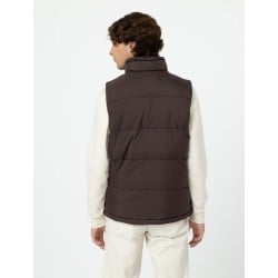 Dickies Waldenburg Vest