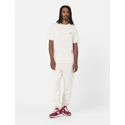 Dickies Mapleton T-Shirt
