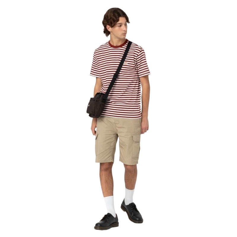 Dickies Rivergrove T-Shirt