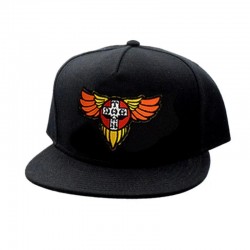 Dogtown Wings Patch OG 70s Snapback Hat