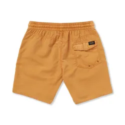 Volcom Center Trunk 17 Shorts