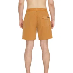 Volcom Center Trunk 17 Shorts