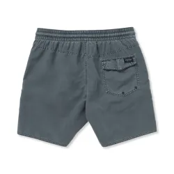 Volcom Center Trunk 17 Shorts