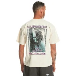 Quiksilver Back Flash T-Shirt