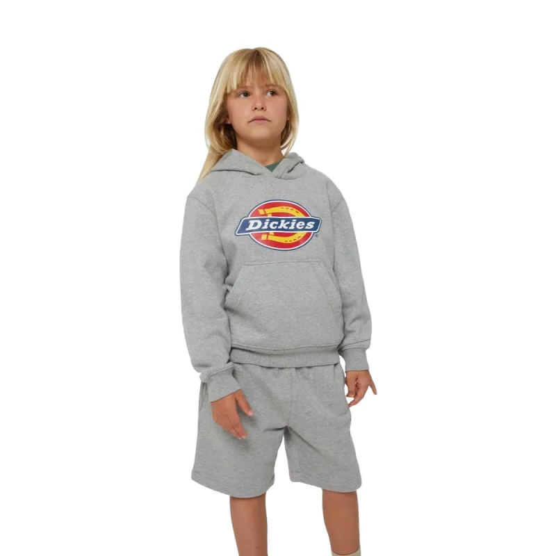 Dickies Icon Logo Kids Hoodie