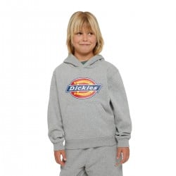 Dickies Icon Logo Kids Hoodie