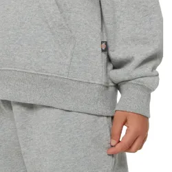 Dickies Icon Logo Kids Hoodie