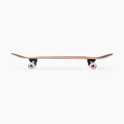 Landyachtz The Clark 40" Cruiser Longboard Complete