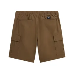 Vans Range Cargo Loose Shorts