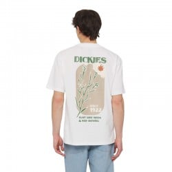 Dickies Herndon T-Shirt - Wit