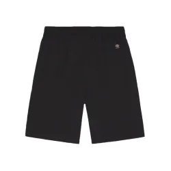 Dickies Jackson Cargo Shorts