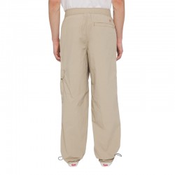 Dickies Jackson Cargo Pants