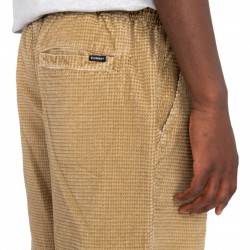 Element Chillin Cord Shorts