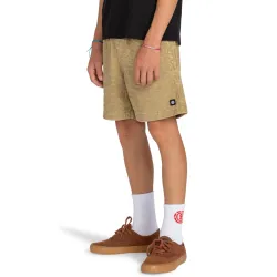 Element Chillin Cord Shorts Kids