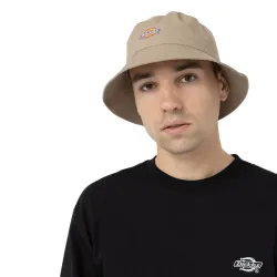 Dickies Stayton Cap