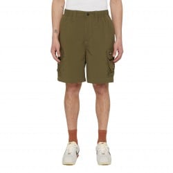 Dickies Jackson Cargo...