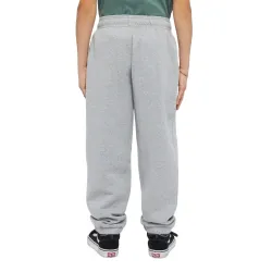 Dickies Mapleton Kids Sweatpants