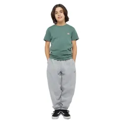 Dickies Mapleton Kids Sweatpants