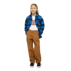 Dickies Carpenter Kids Pants