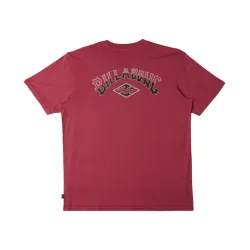 Billabong Arch Wash T-Shirt