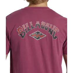 Billabong Arch Wash T-Shirt