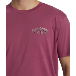 Billabong Arch Wash T-Shirt
