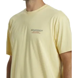 Billabong Twin Fins T-Shirt