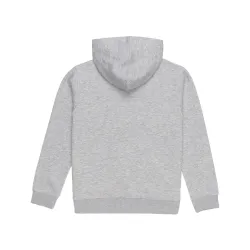 Element Cornell Classic Kids Hoodie