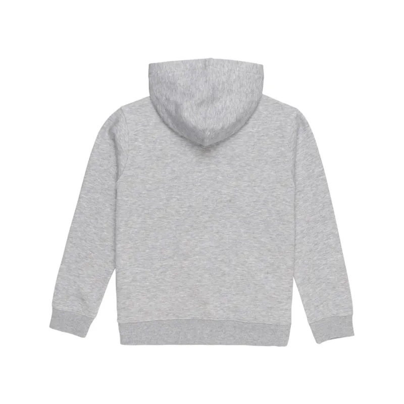 Element Cornell Classic Kids Hoodie