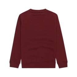 Element Cornell Classic Kids Crew