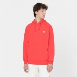 Dickies Summerdale Hoodie