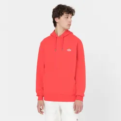 Dickies Summerdale Hoodie
