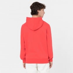 Dickies Summerdale Hoodie