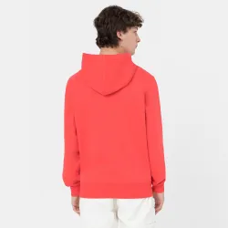 Dickies Summerdale Hoodie
