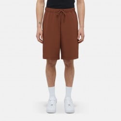 Dickies Wilsall Carpenter Shorts