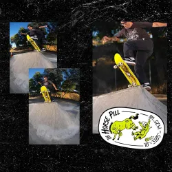 Anti Hero Classic Eagle Horse Pill Shaped 10.0" Skateboard Deck