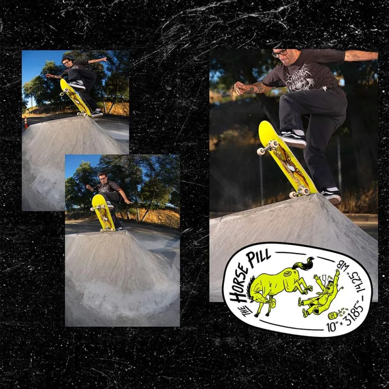 Anti Hero Classic Eagle Horse Pill Shaped 10.0" Skateboard Deck
