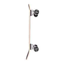 Arbor Daily Driver 2 31" Surf Skate Complete