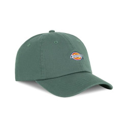 Dickies Hardwick Cap Sea Spray