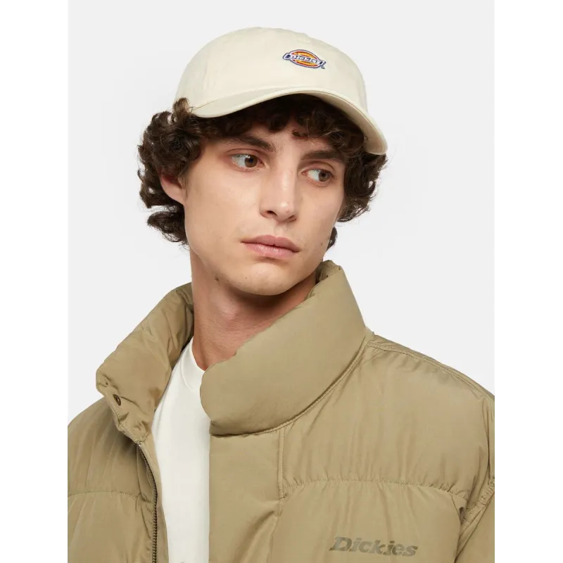 Buy Dickies Hardwick Cap at Sick Skateboard Shop
