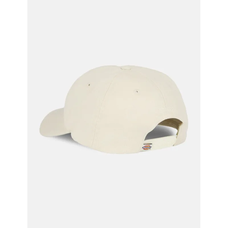 Buy Dickies Hardwick Cap at Sick Skateboard Shop