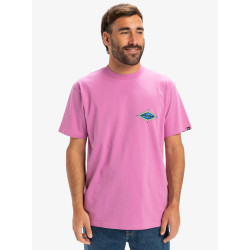 Quiksilver Ev Beach Blast T-Shirt Purple
