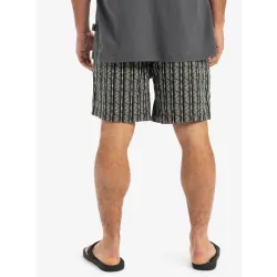 Quiksilver Taxer Jacquard Street Way Shorts